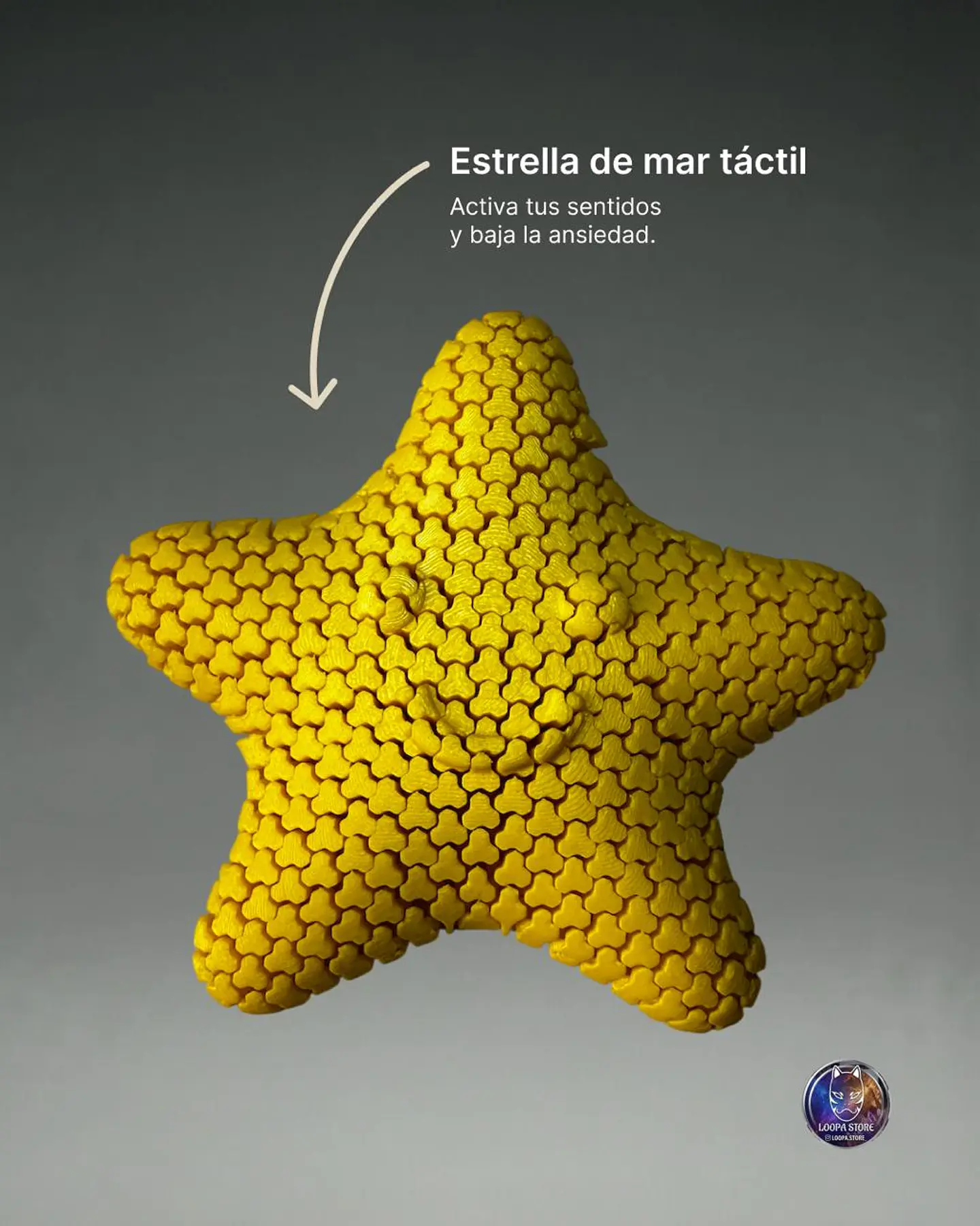 Estrella de Mar Táctil Sensorial — Fidget Antiestrés 1