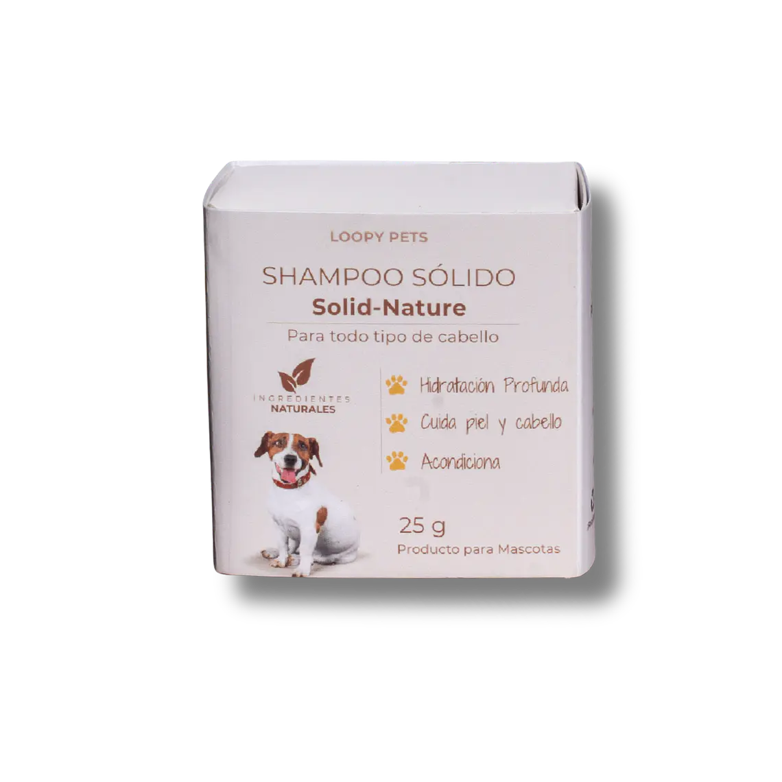 Shampoo sólido 1