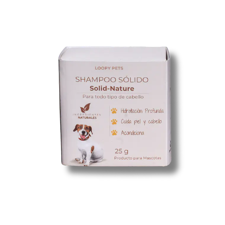 Shampoo sólido 1