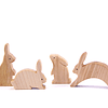 Set Conejos