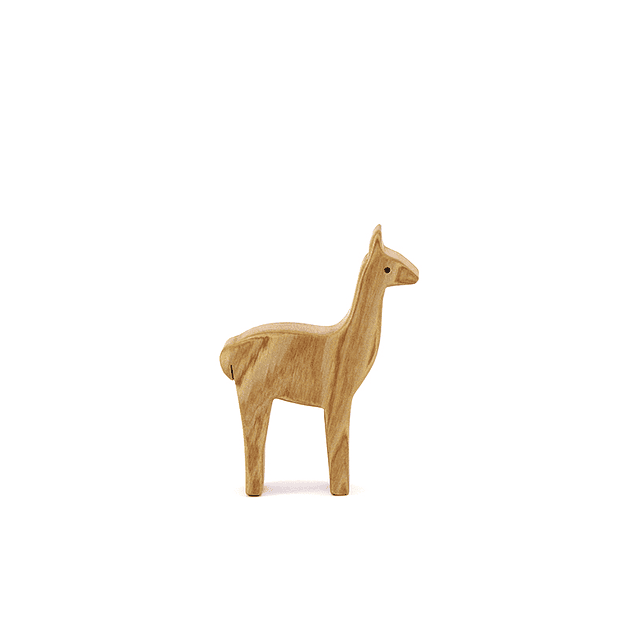 Guanaco cría