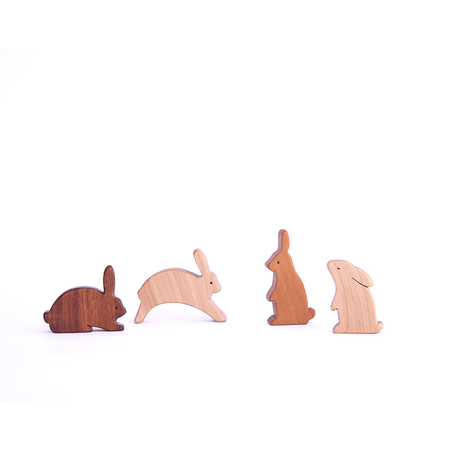 Set Conejos - colores