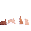Set Conejos - colores