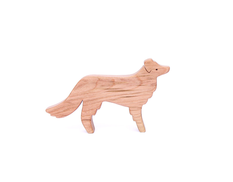 Perro Border Collie