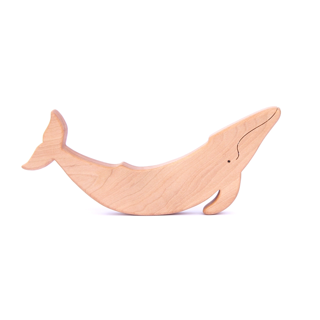 Ballena Jorobada