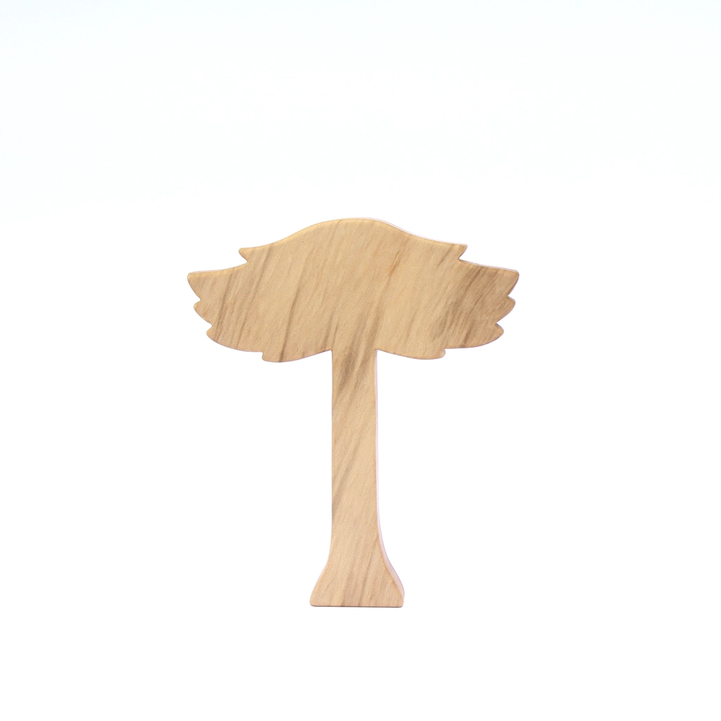 Araucaria
