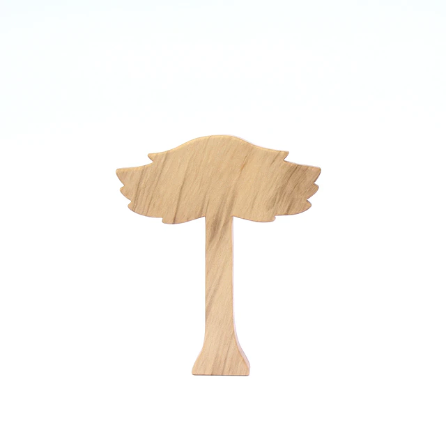 Araucaria