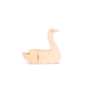 Cisne Coscoroba