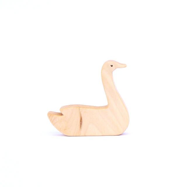 Cisne Coscoroba