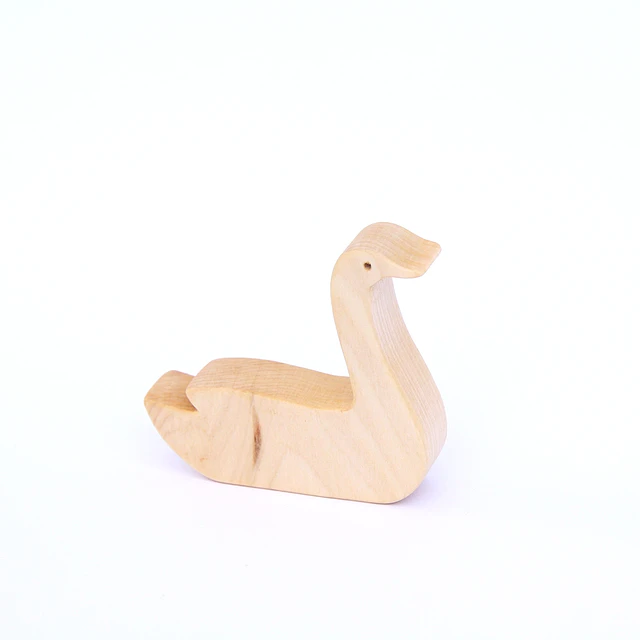 Cisne Coscoroba