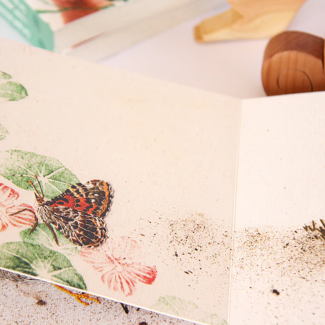 PACK Libro "Lo que encontré en el jardín" + animalito 