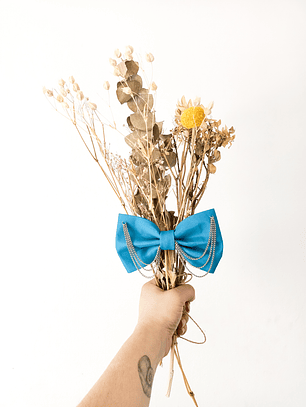 Maxilazo Turquesa Especial cadenas