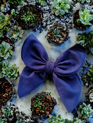 Traba Mariposa Azul Marino