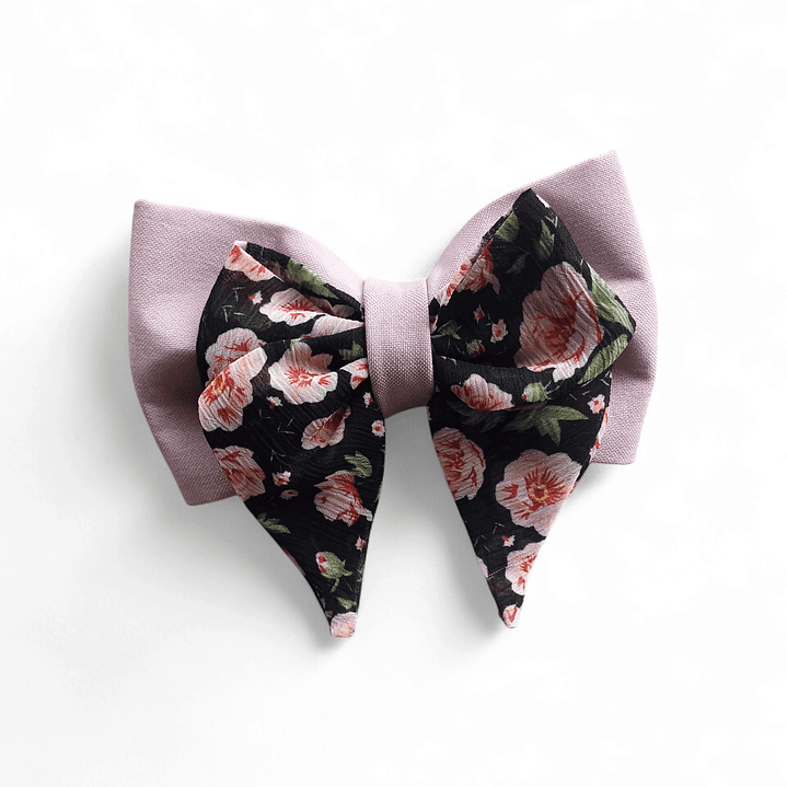 Maxilazo Isabella Rosas 1