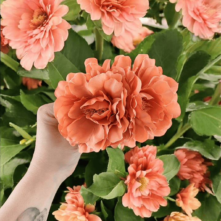 Tocado Flores doble  1