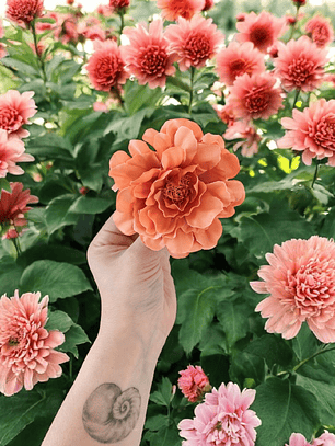 Tocado simple de Flor