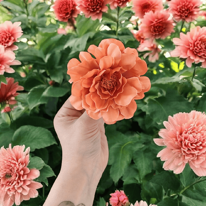 Tocado simple de Flor 1