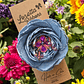 Rosa Especial Sicodélica Denim - Miniatura 1