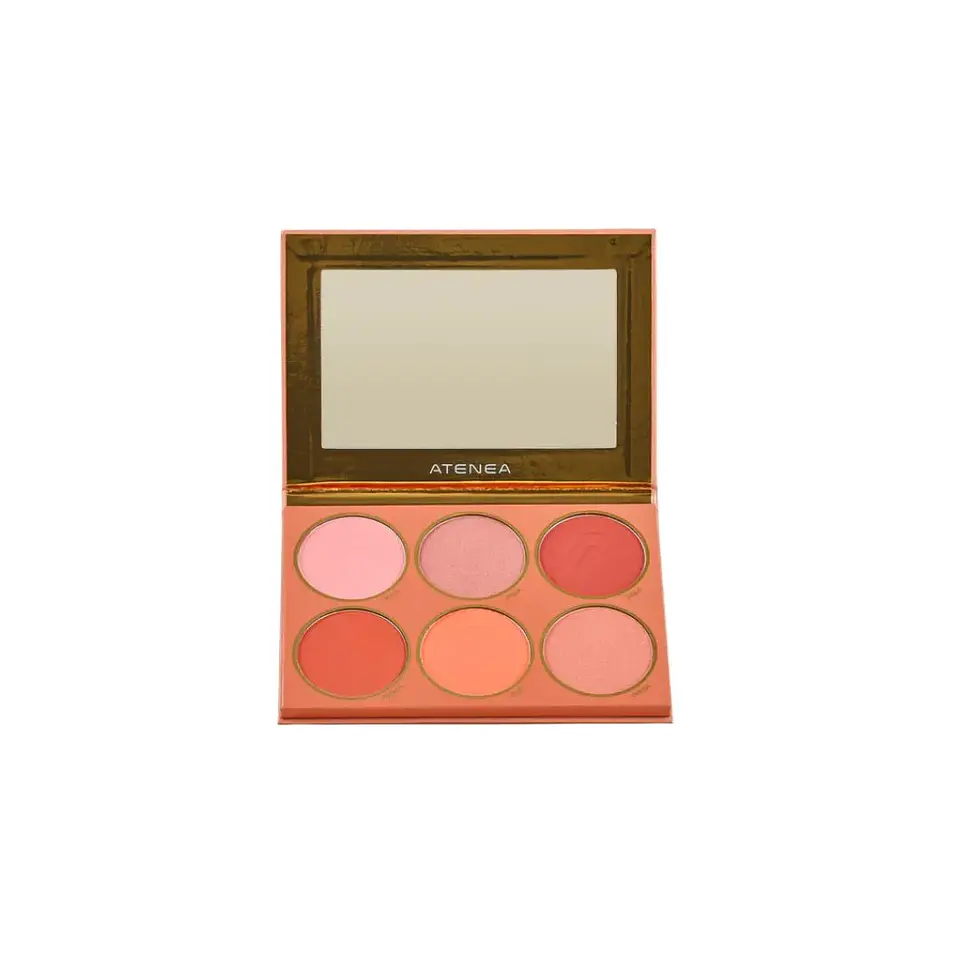 Paleta de Rubores x6 Tonos Atemporal 2