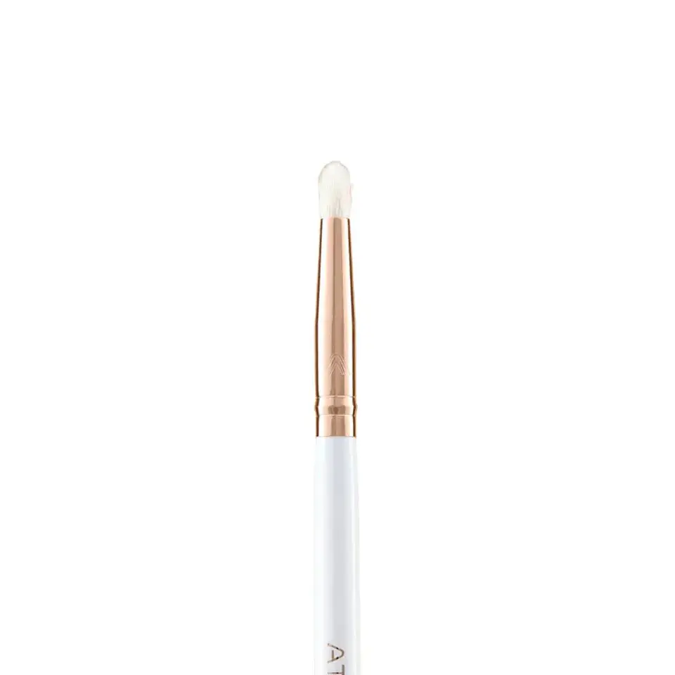 Kit de Brochas para Ojos y Rostro 22