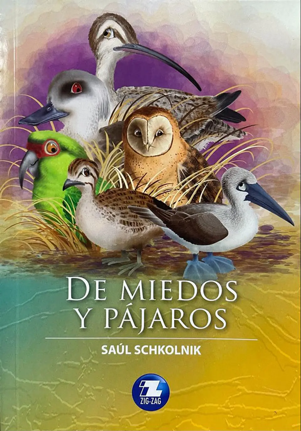 De miedos y pajaros editorial zigzag 1