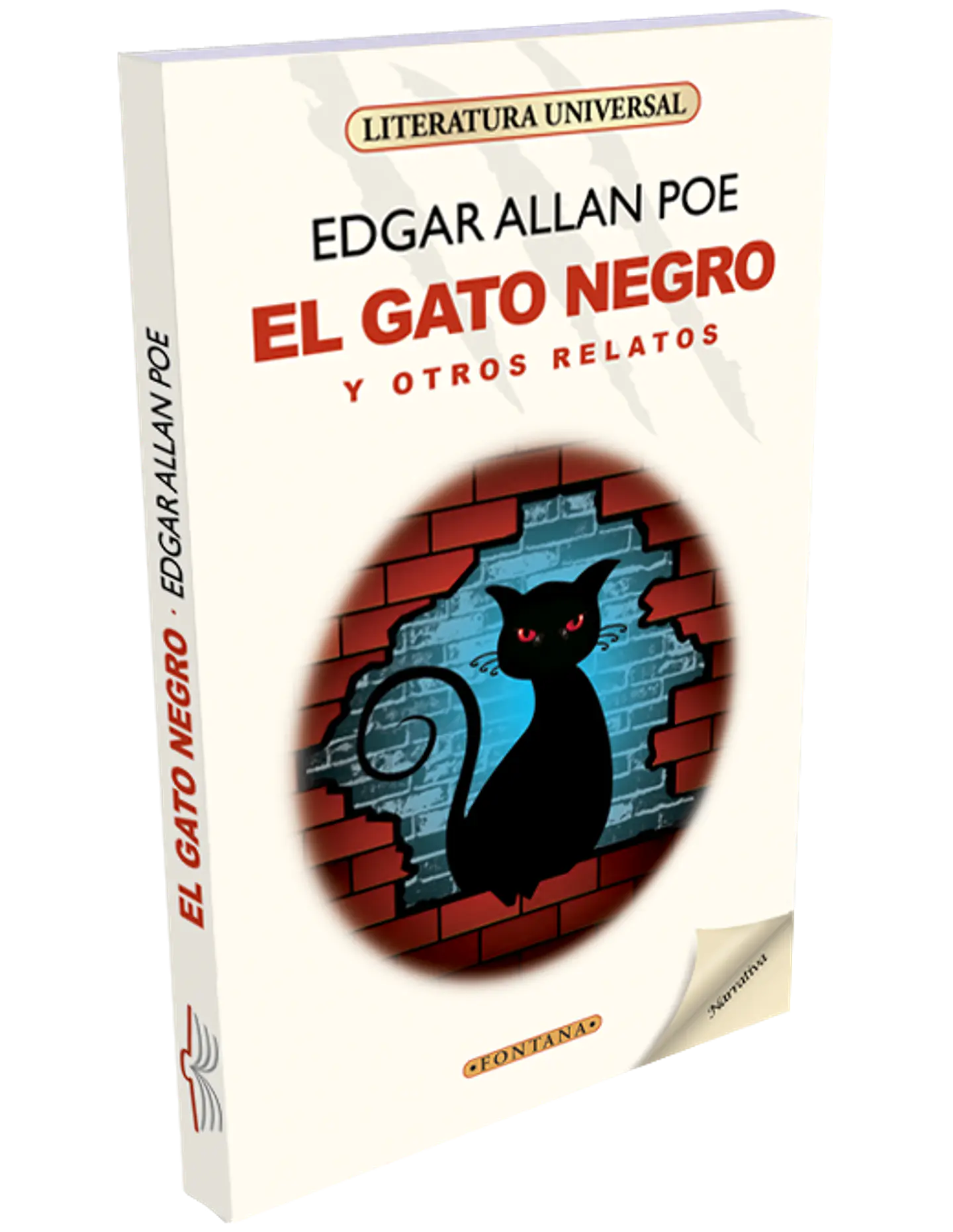 el gato negro y otros relatos 1