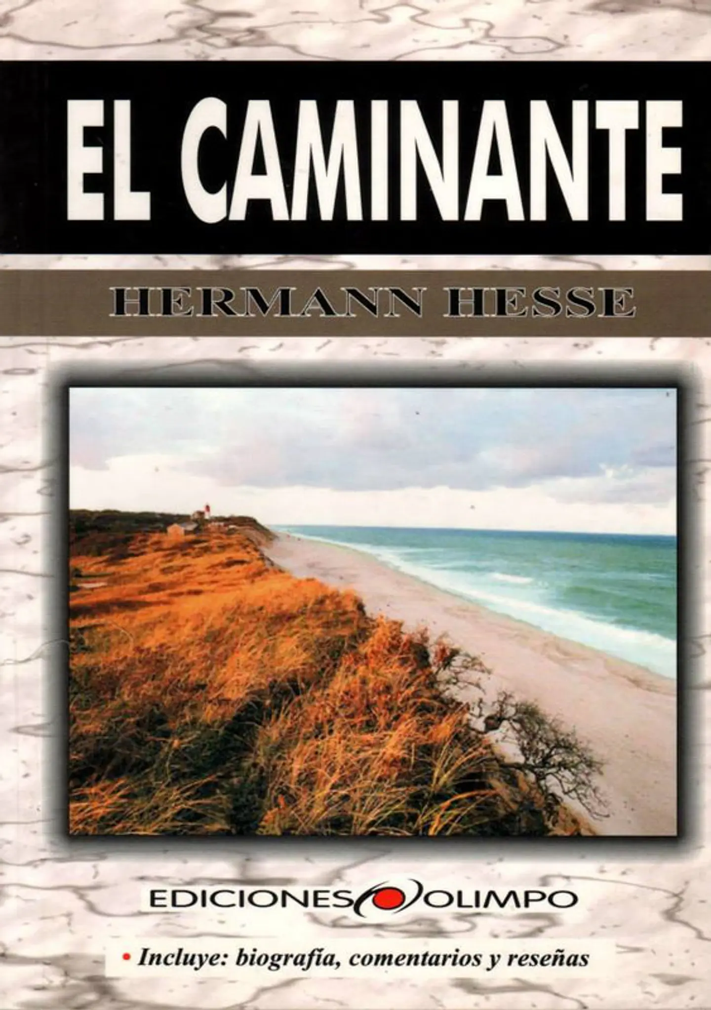 el caminante 1