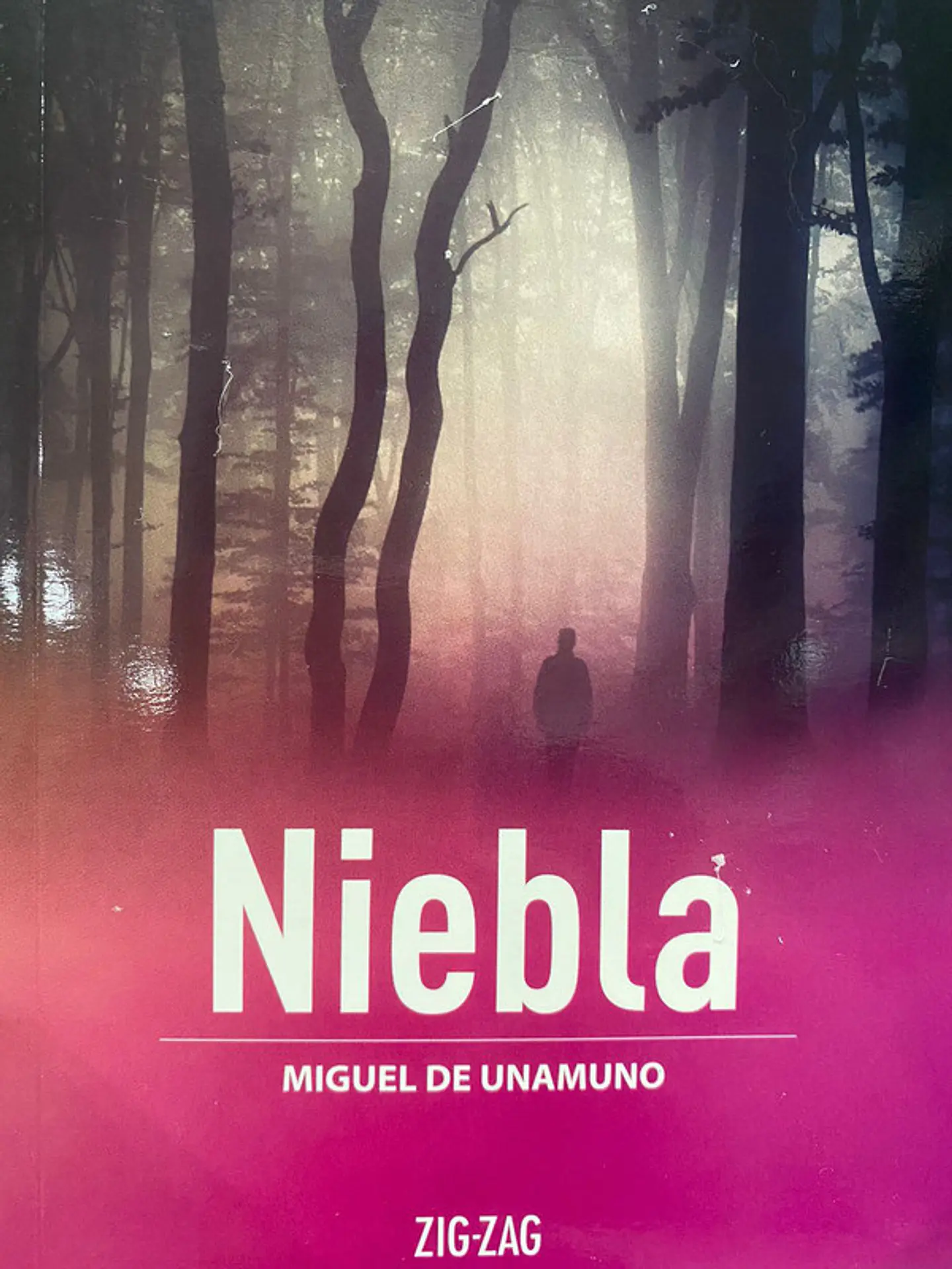 Niebla editorial zigzag 1