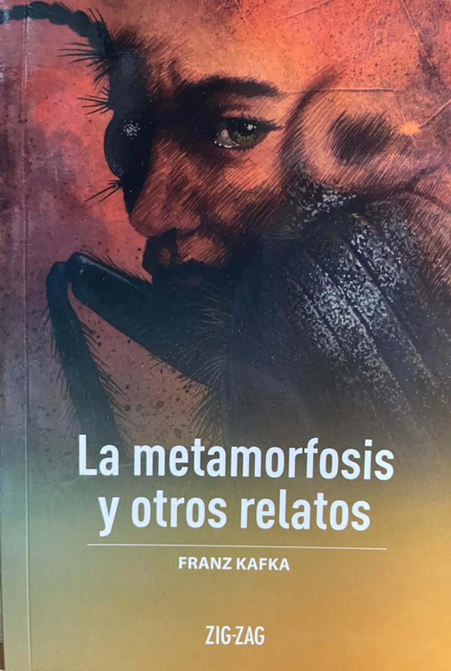 La metamorfosis y otros relatos editorial zigzag 1