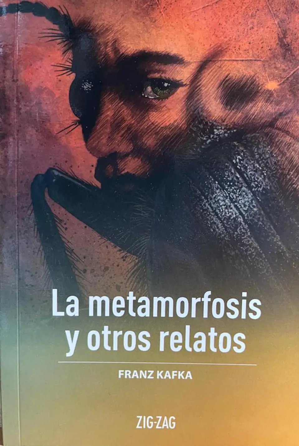 La metamorfosis y otros relatos editorial zigzag 1