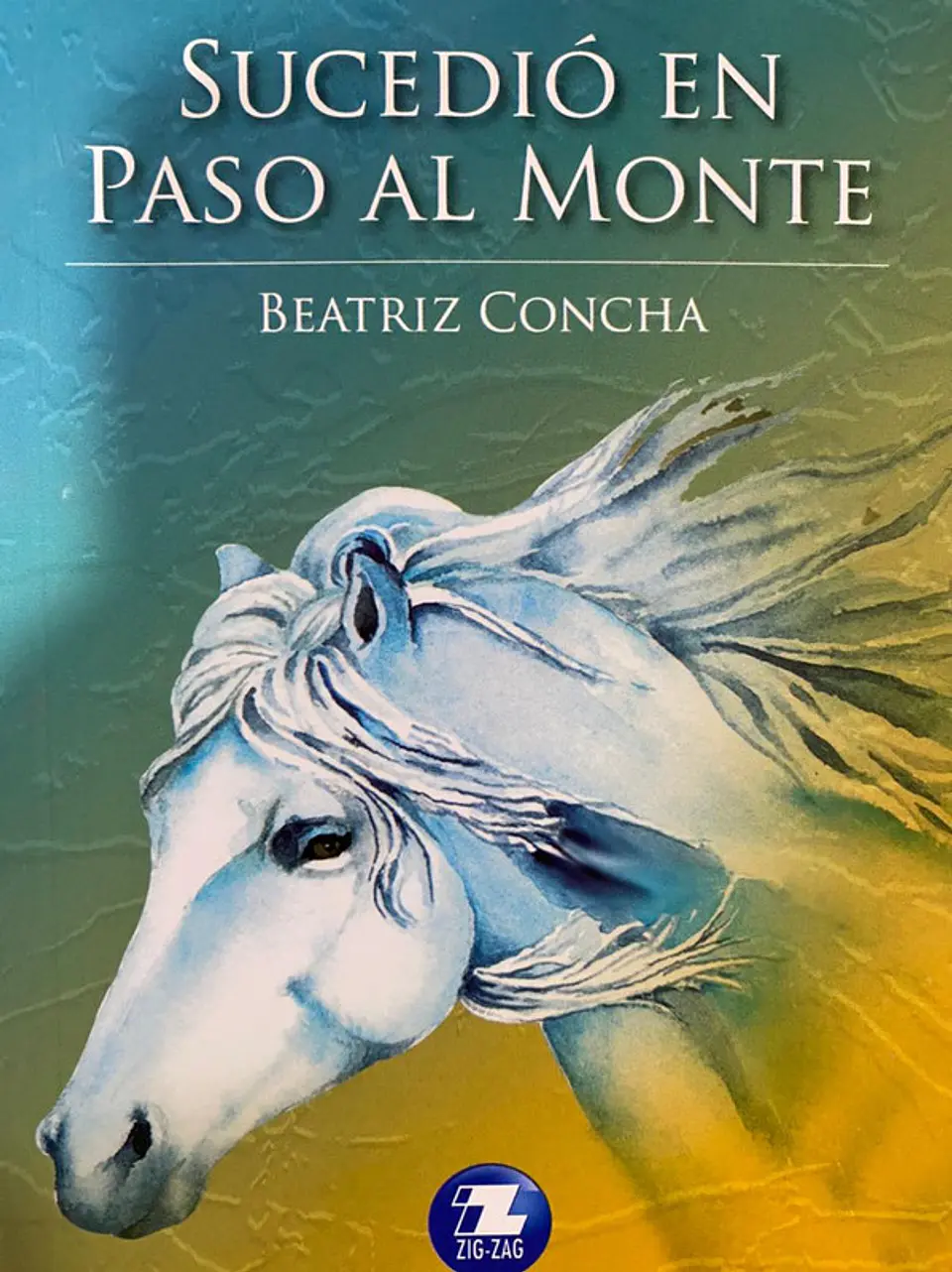 Sucedi— en paso al monte editorial zigzag 1