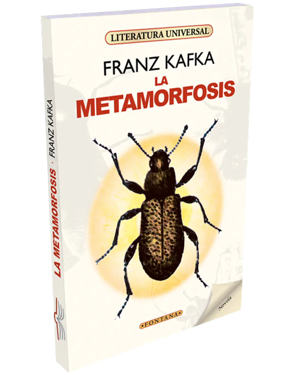 la metamorfosis 1