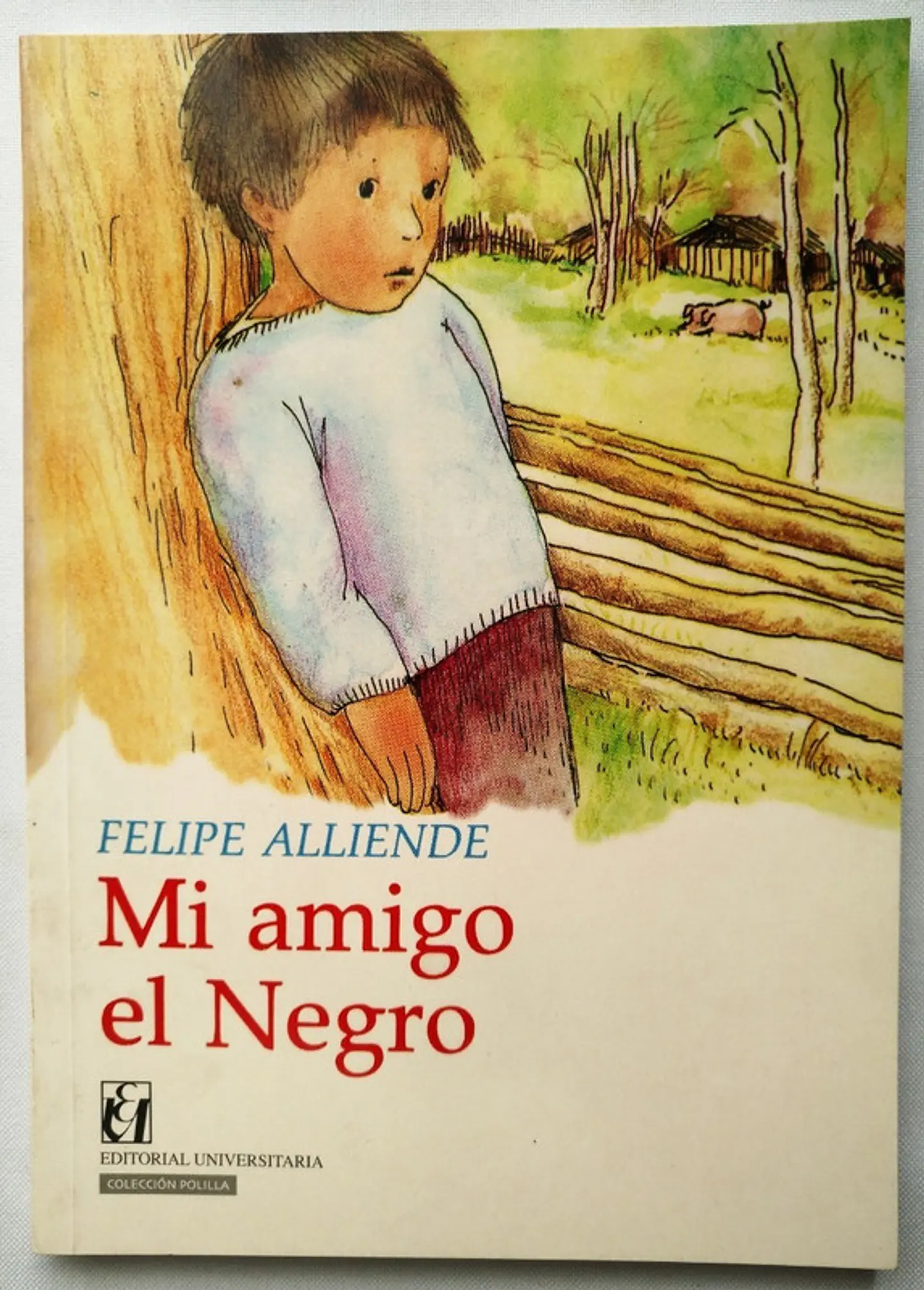 mi amigo el negro 1