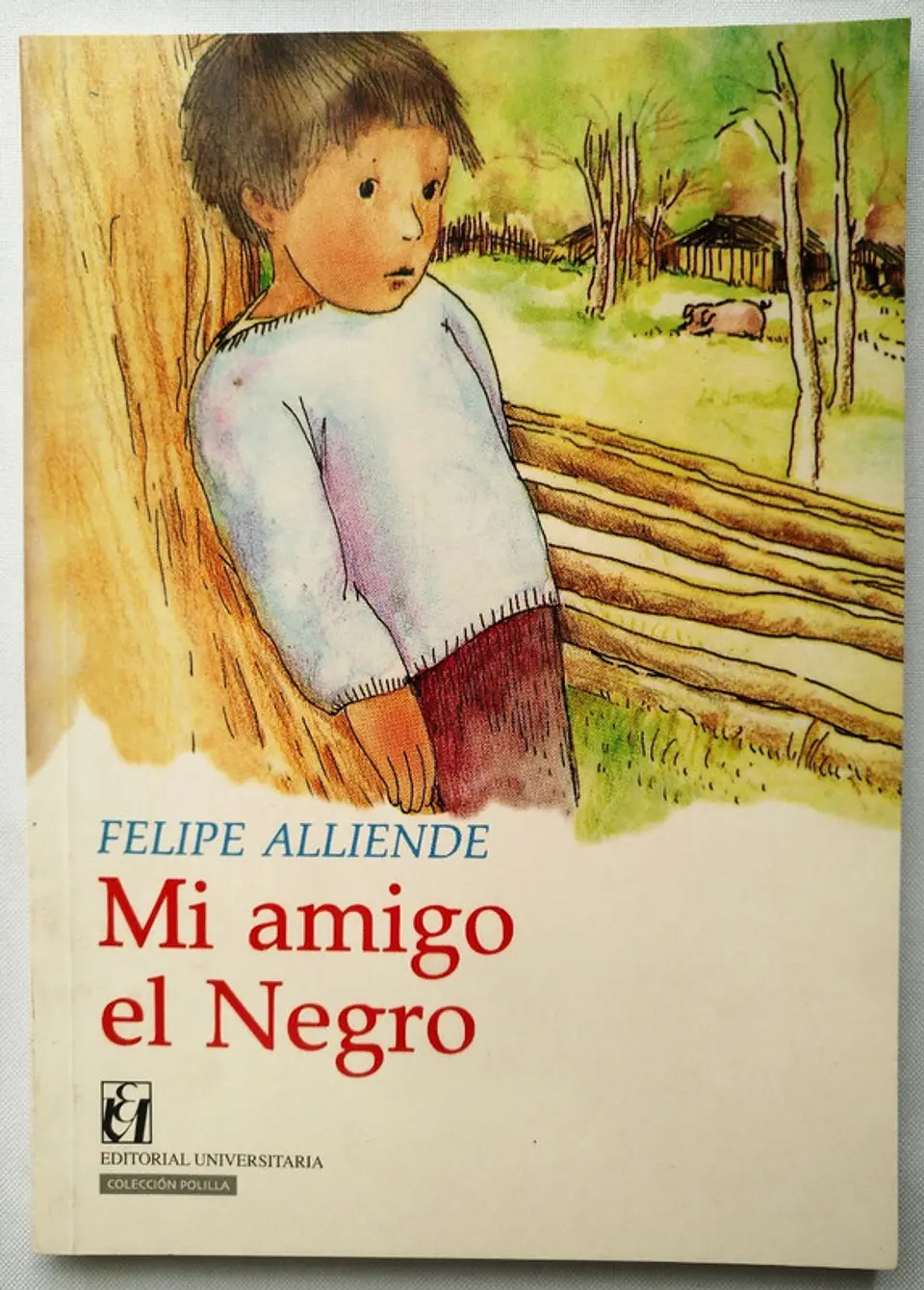 mi amigo el negro 1