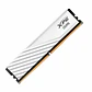 Memoria RAM | XPG Lancer Blade White | 8 GB | DDR5 | 5600 MT/s - Miniatura 2