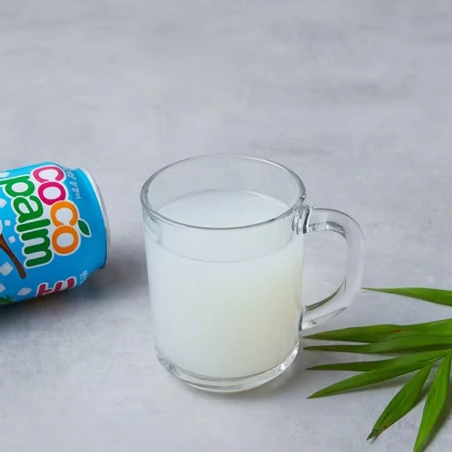 Coco Palm Yogurt 4
