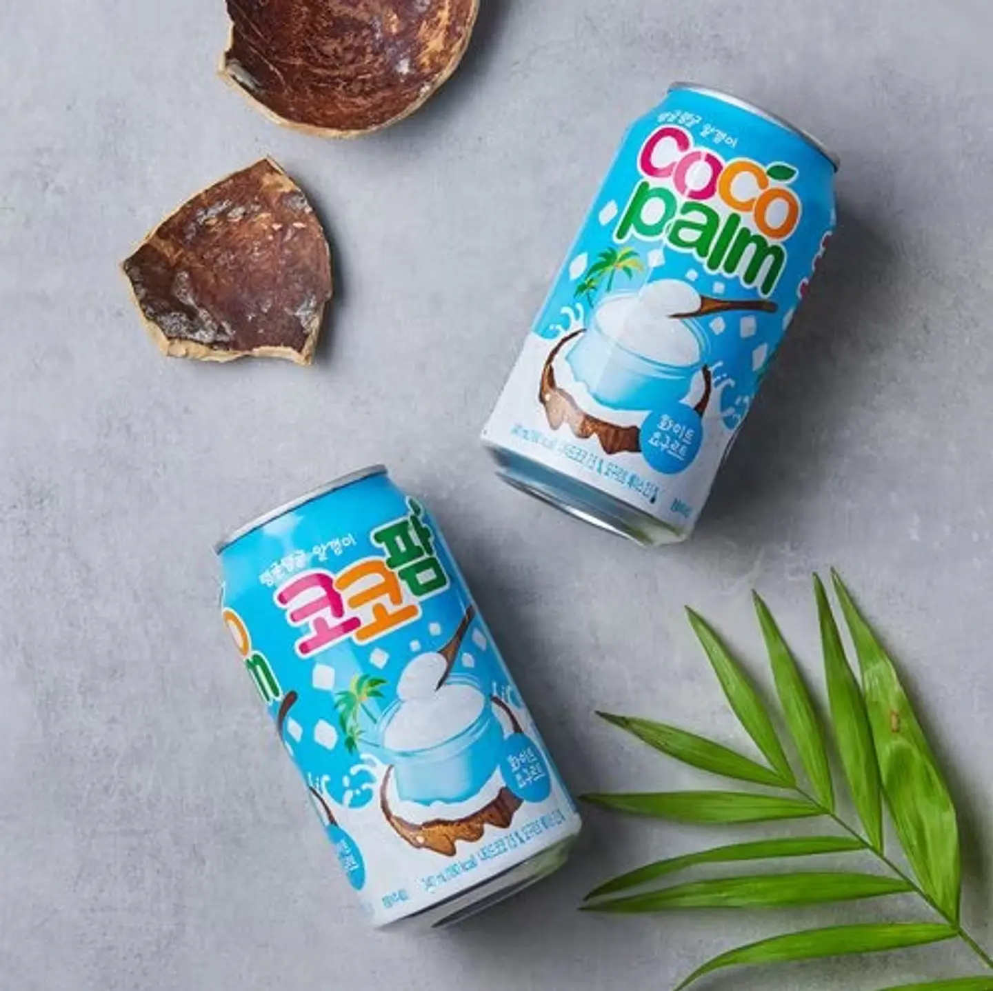 Coco Palm Yogurt 3