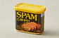 SPAM - Miniatura 2