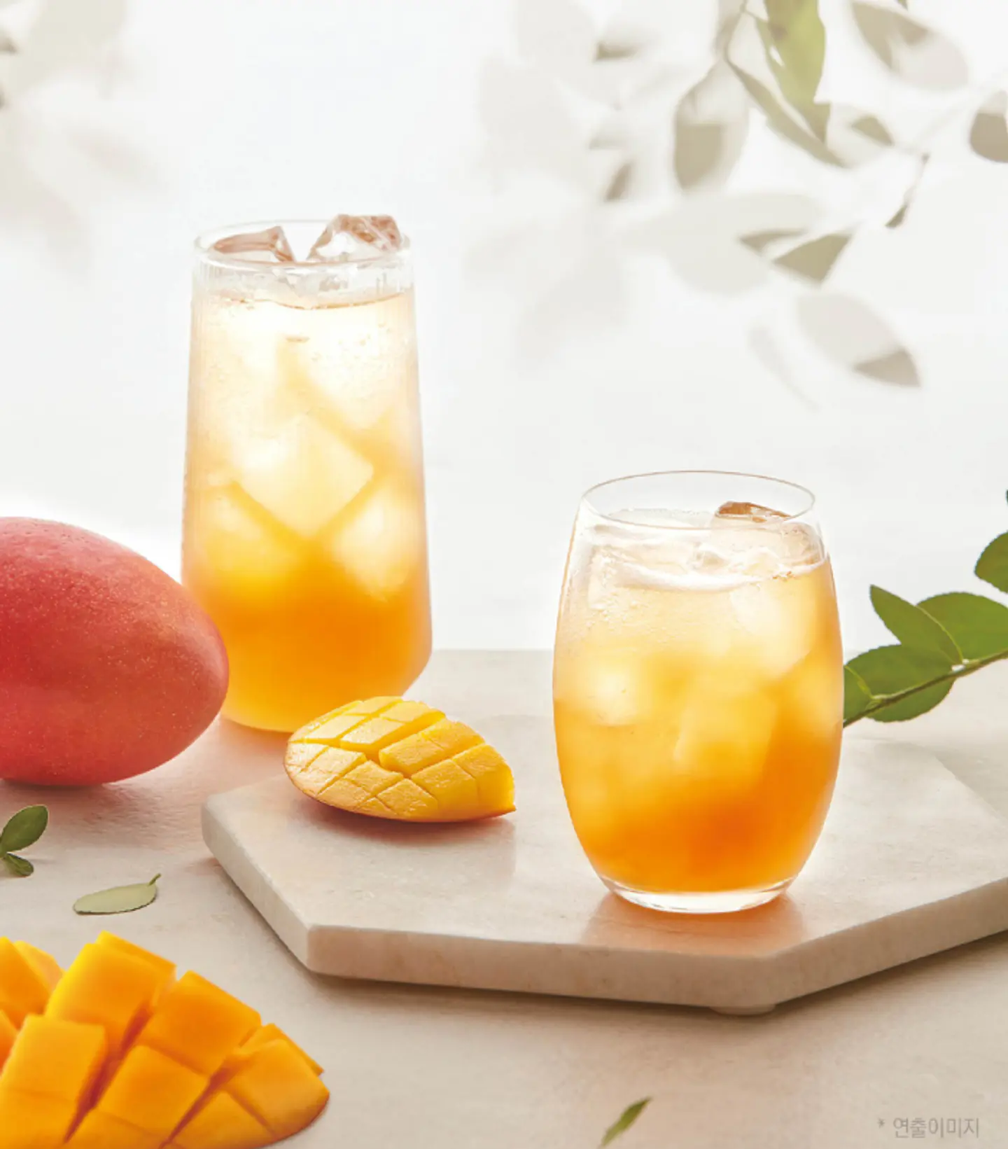 Kombucha mango (Pokemon X DAMTUH) PROMOCIÓN 2X1 3
