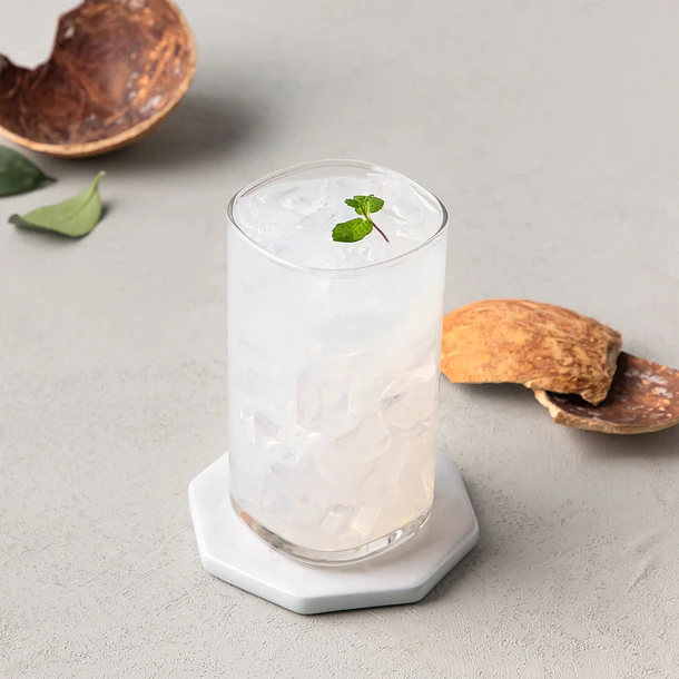 Coco Palm Durazno 4