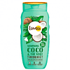 Shampoo Coco & Te Verde – Todo tipo Cabello 250 ml 