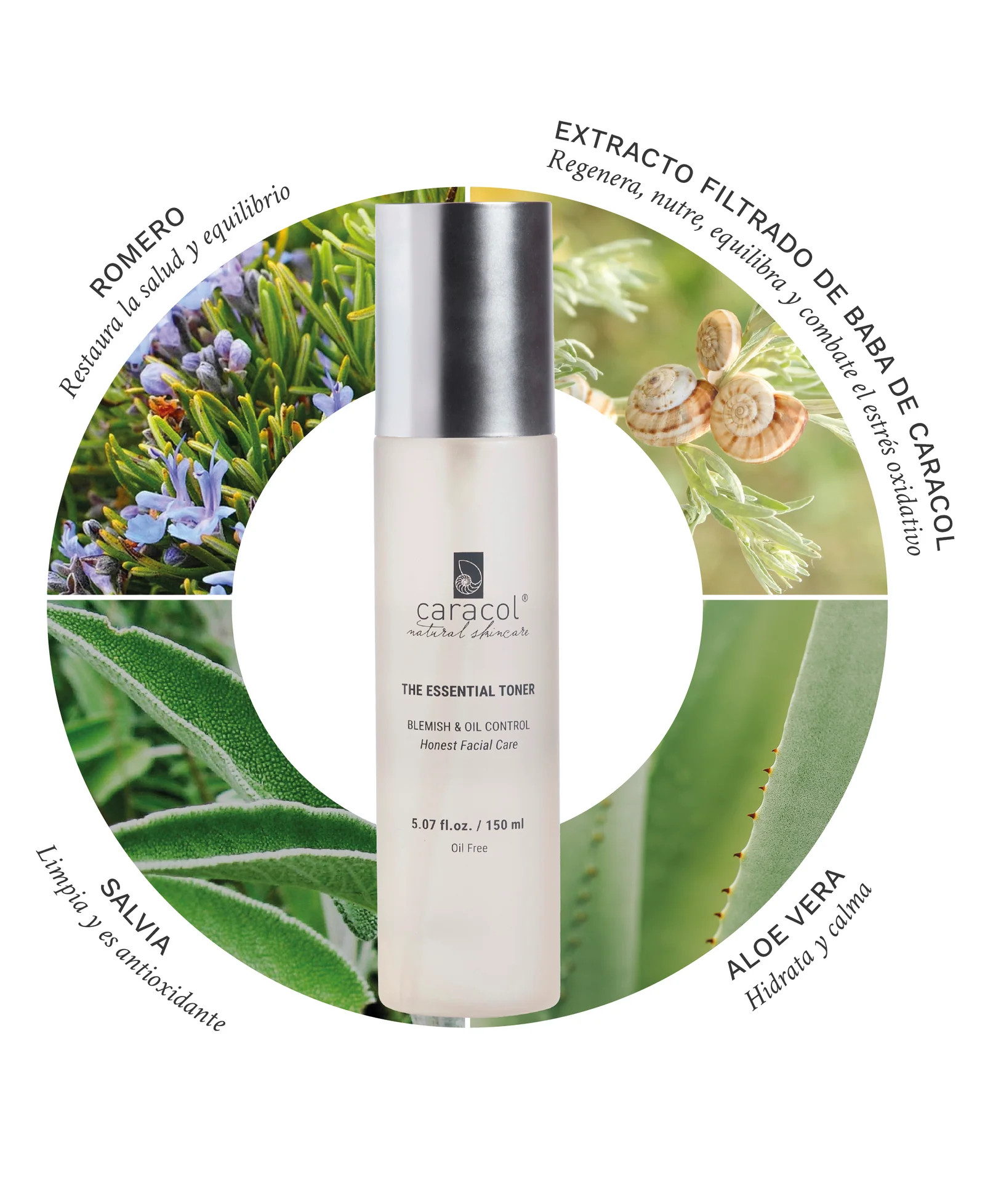 TÓNICO HIDRATANTE. Caracol