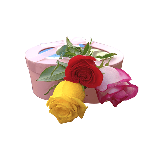 Caixa Presente de chocolates com 3 Rosas