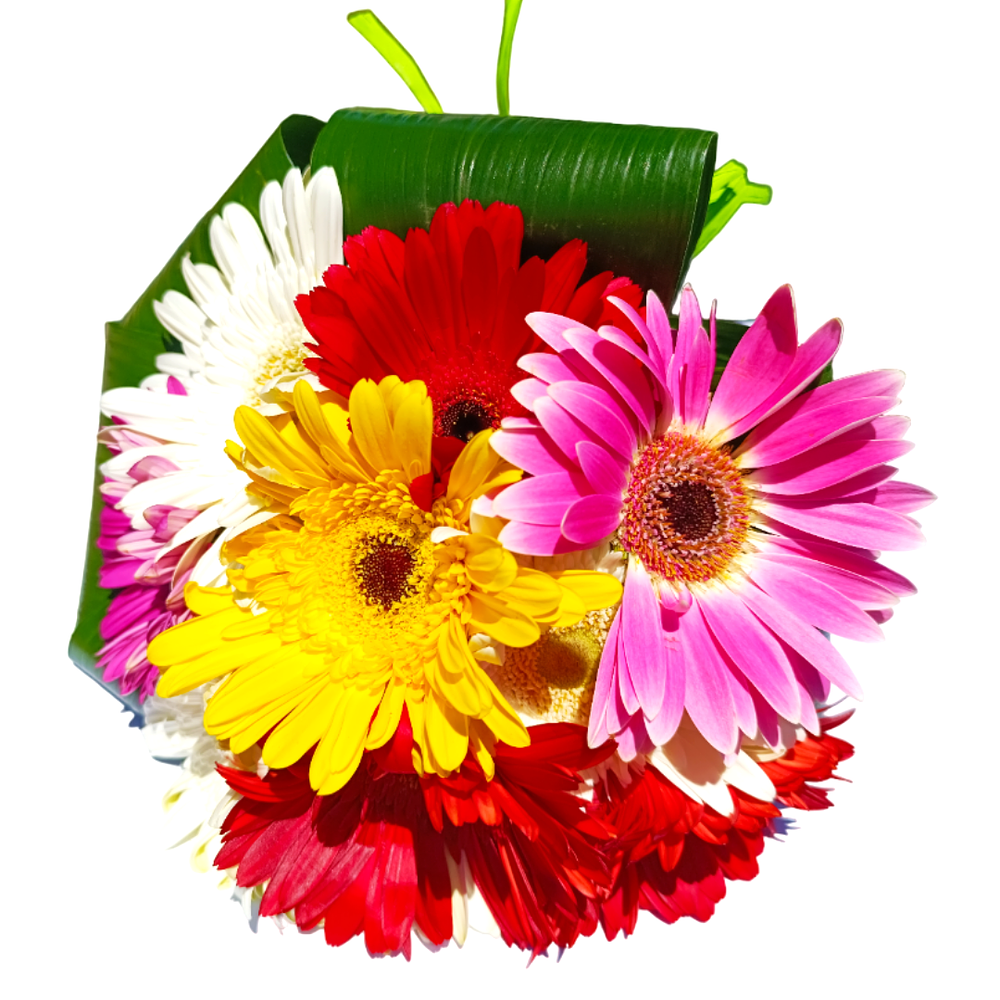 Bouquet de Flores Gerberas 1