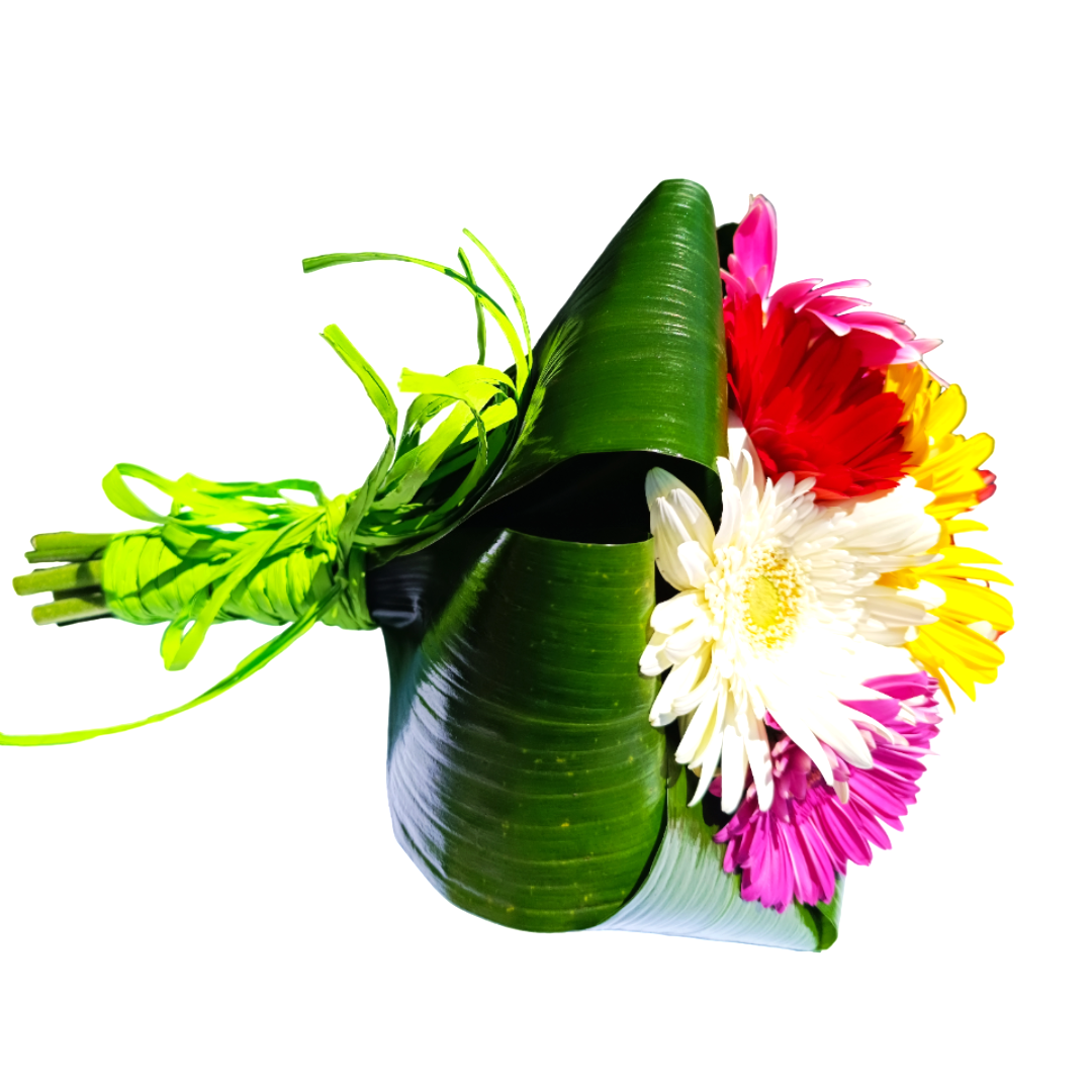 Edição Sofia 4