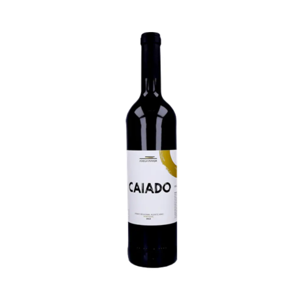 Vinho Tinto Caiado 1