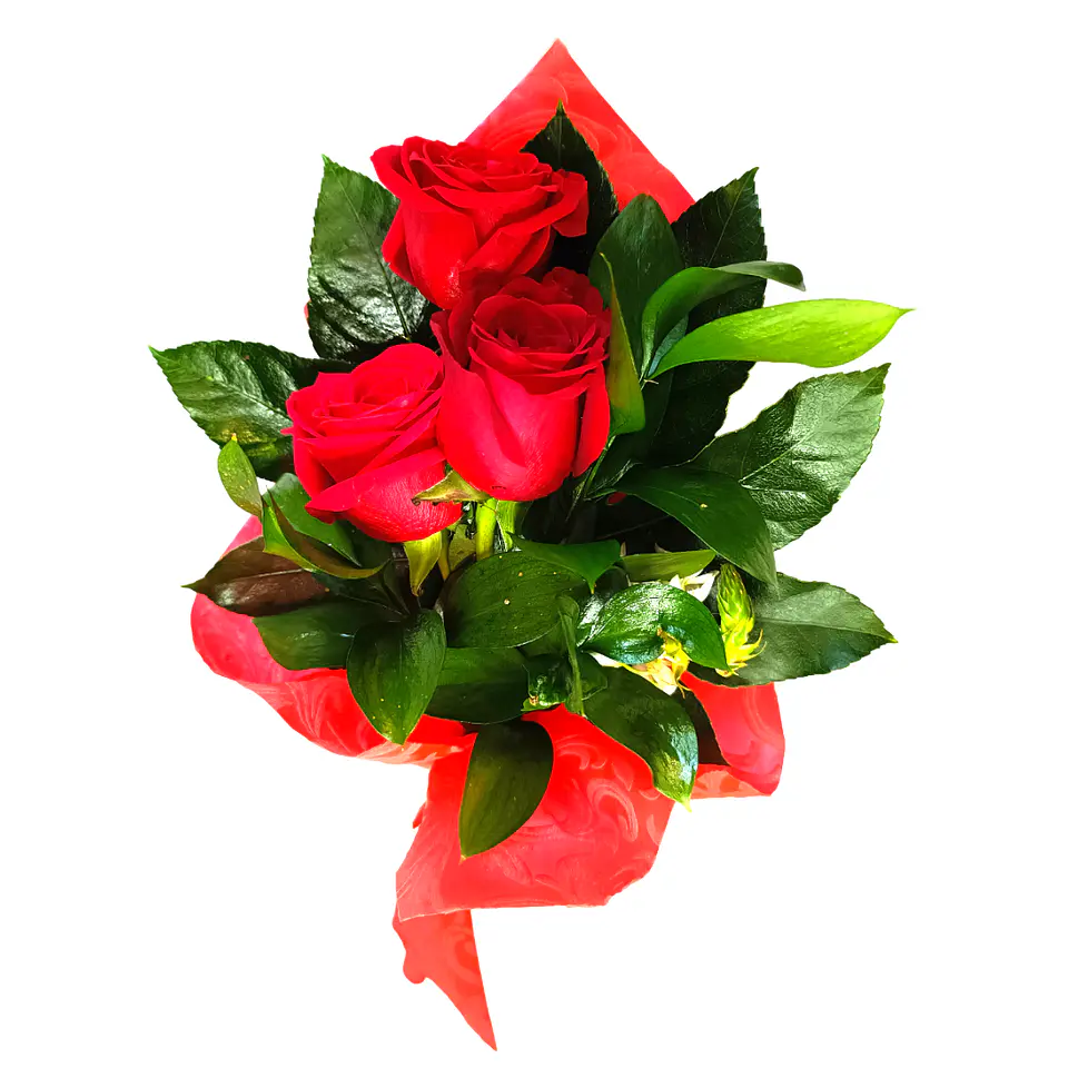 Mini Ramo de Rosas Vermelhas 7