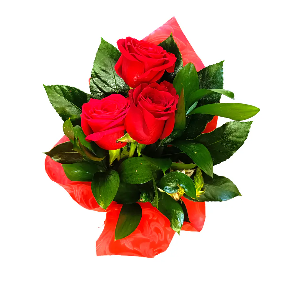 Mini Ramo de Rosas Vermelhas 3