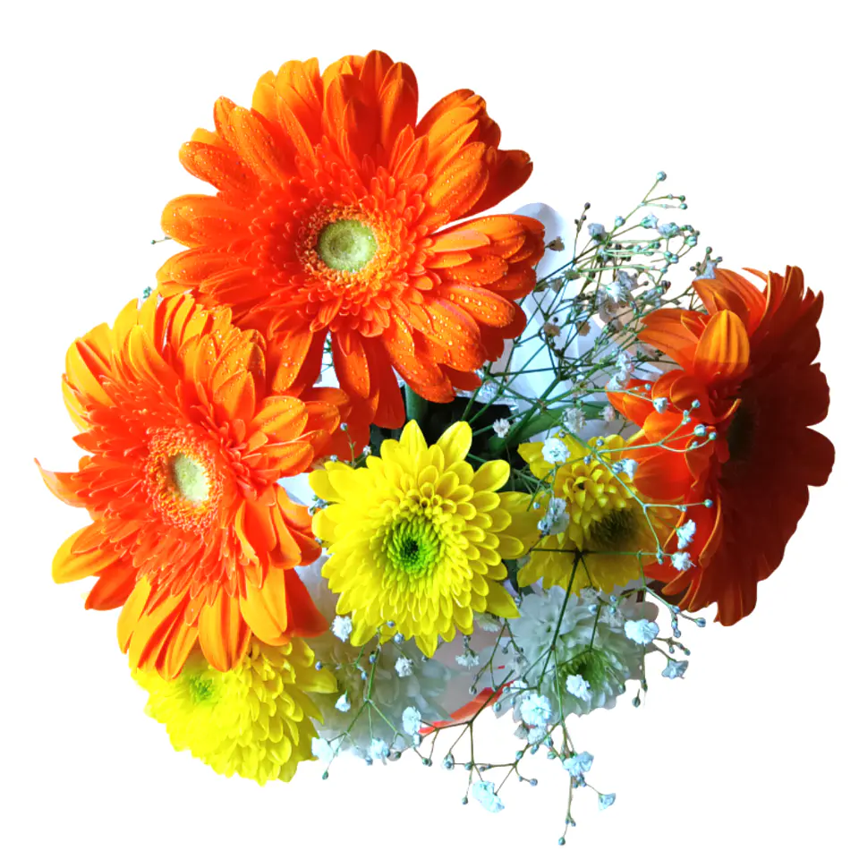 Bouquet de Flores Primavera 2