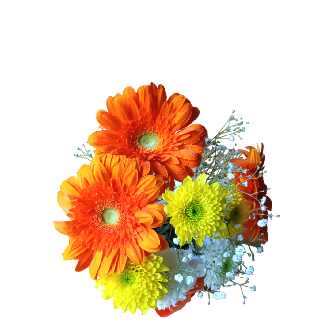Bouquet de Flores Primavera 3